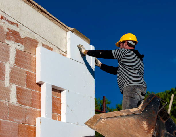 Insulation Inspection Services in Sidney, IL