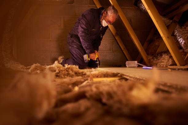 Insulation for New Construction in Sidney, IL