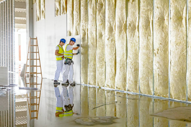 Best Fiberglass Insulation  in Sidney, IL